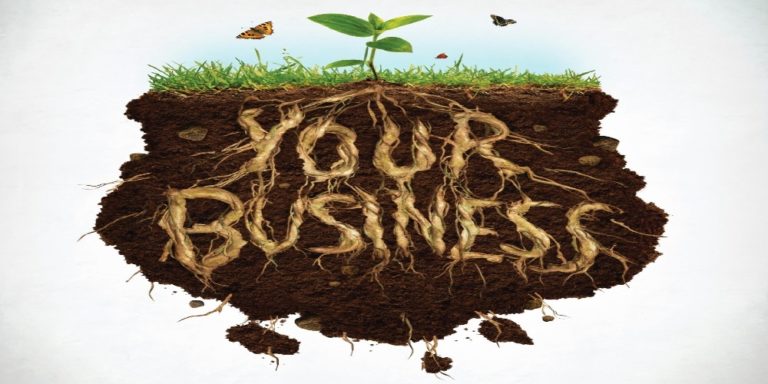 Strengthen the Roots of Your Business